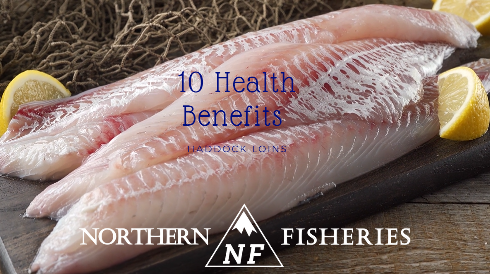 Ten Health Benefits from eating Haddock