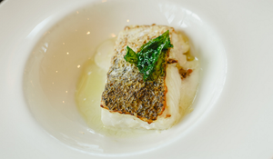 Grilled Lemon Herb Cod Fish Recipe
